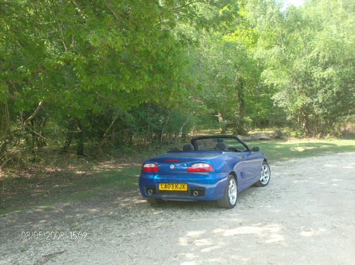 Going topless in the New Forest