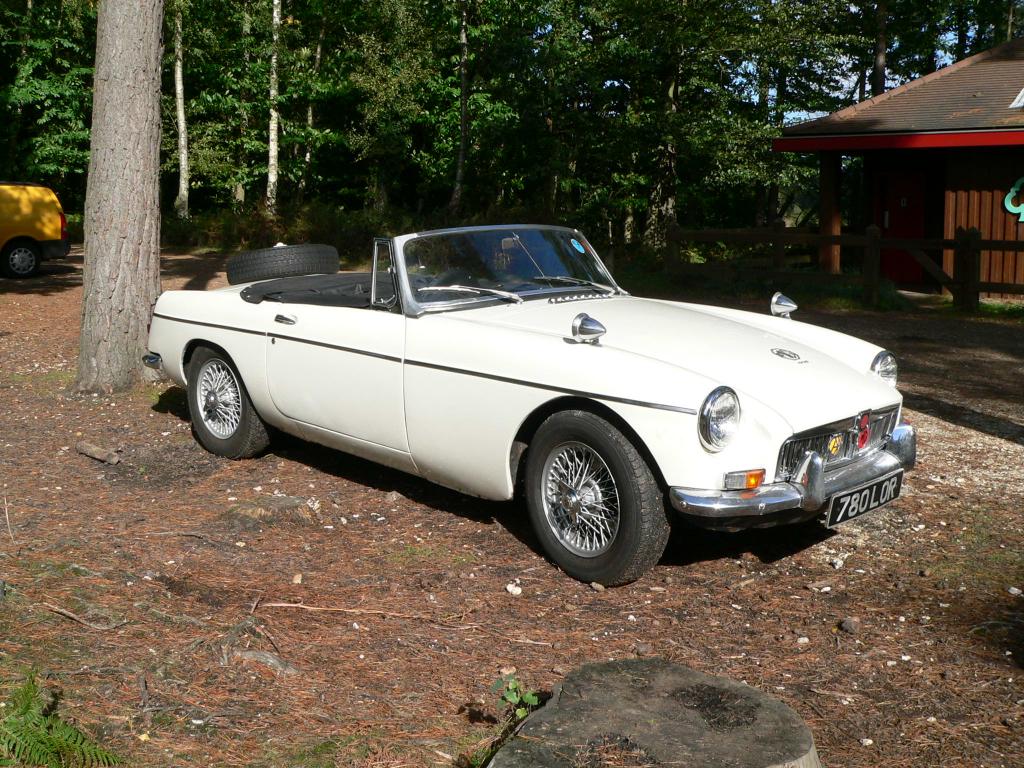 Still going strong with over 200000 miles on the clock and very original. This 64 MGB, pictured in the New Forest, has made two trips to the Red Sea and back.