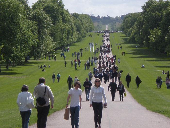 The Long Walk from Windsor Castle